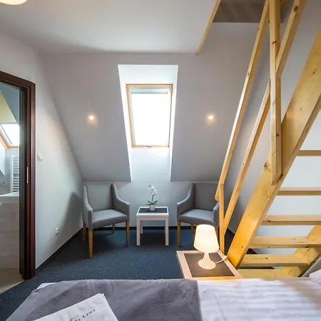 Frühstückspension Przy Termach Apartamenty, Pokoje - Podgrzewany Basen, Hydromasaz I Tylko 70M Termy Szaflary