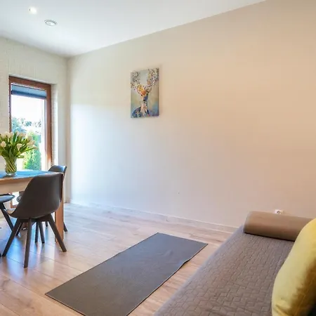 Przy Termach Apartment Szaflary